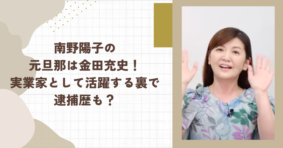 南野陽子の元旦那は金田充史！実業家として活躍する裏で逮捕歴も？(タイトル画像)