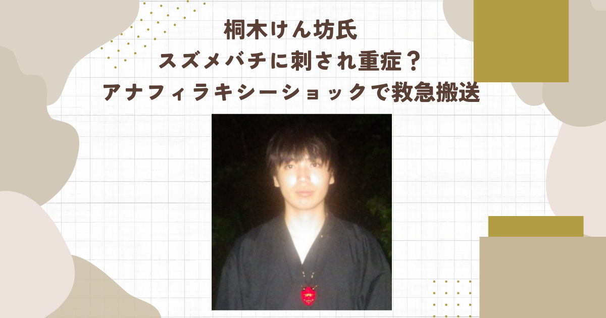 桐木けん坊氏スズメバチに刺され重症？アナフィラキシーショックで救急搬送（タイトル画像）