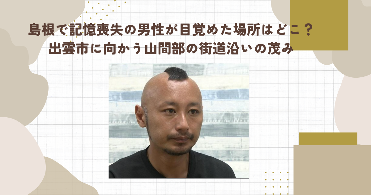 島根で記憶喪失の男性が目覚めた場所はどこ？出雲市に向かう山間部の街道沿いの茂み（タイトル画像）